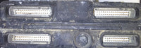 45829154