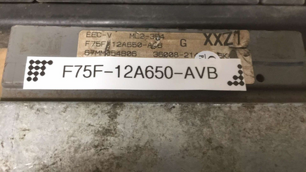 44003325