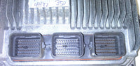 44261381