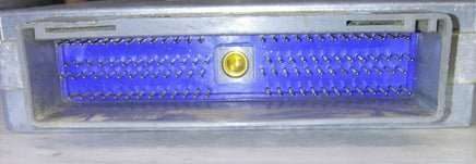 44809561