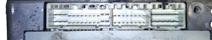 45431279