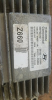 39102-2G660 Hyundai Sonata 2011-2012 ecu computer