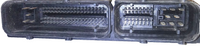 45429401