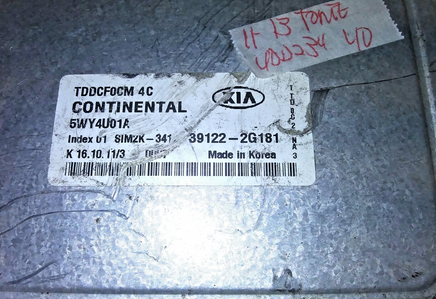 45431206