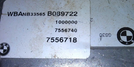 7556718 BMW module computer - Swan Auto