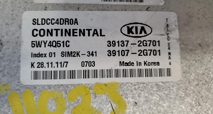 45005895