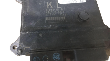 45429101