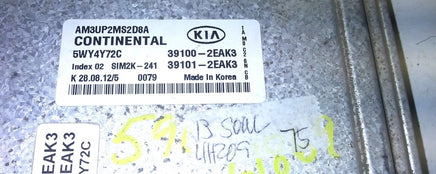 46900888