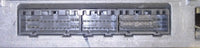 47024823