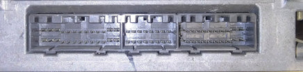 47024823