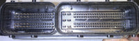 44804603