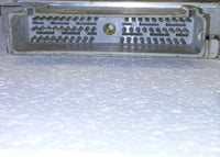 44795481