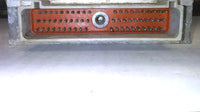 44800155