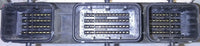 A56-E48 Z1D ecm  ecu computer 2010 Nissan Maxima - Swan Auto