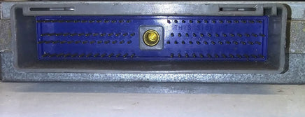 44795381