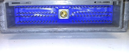 44813021