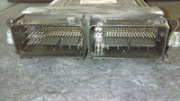 44800438