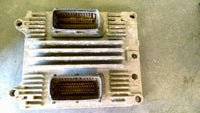44819903