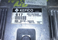 44804564