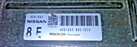 45429562