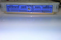 44800946