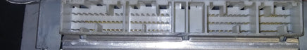 47459613