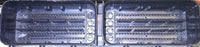 39100-2S336 Engine control module computer 2024 Hyundai Tucson - Swan Auto
