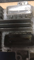 44810153