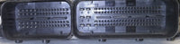 44808559