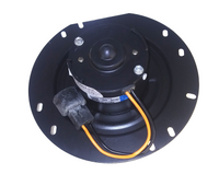46376558