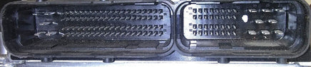44225317