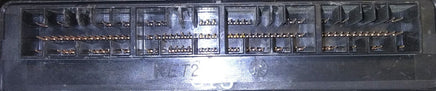 44804981