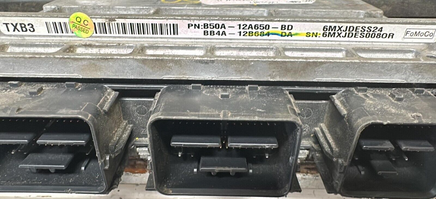 44810637