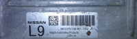 45428904