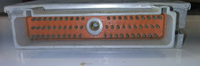 44813526