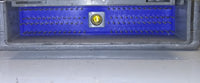 44804979