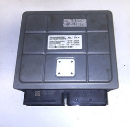 39100-2S336 Engine control module computer 2024 Hyundai Tucson - Swan Auto