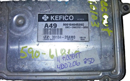 45429040