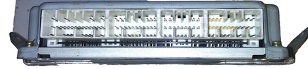 47054813