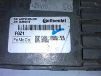 44803421