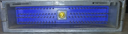 44800362