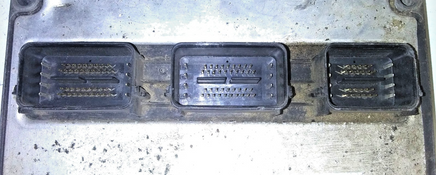 45429405