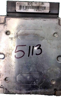 44810081