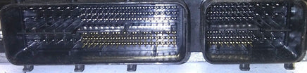 44049425