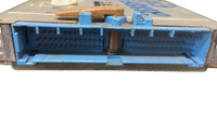 44819342