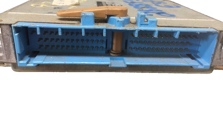 44819342