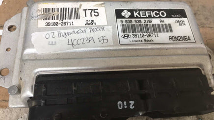 43691141
