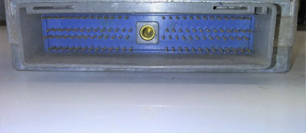 1996 Ford Taurus or Mercury Sable ecm ecu computer F6PF-12A650-CGB
