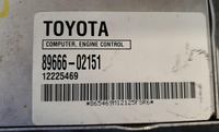 44995943