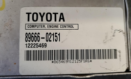 44995943